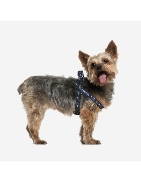 Harnais pour Chien Star Wars Noir