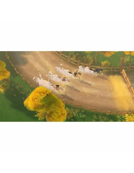 Jeu vidéo pour Switch Microids Les Sisters 2