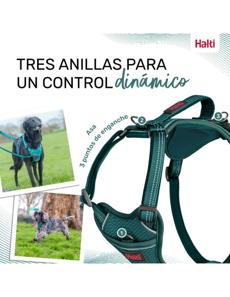 Harnais pour Chien Company of Animals Turquoise XS 20-32 cm