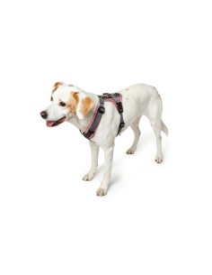 Harnais pour Chien Hunter Rose 31-49 cm 2