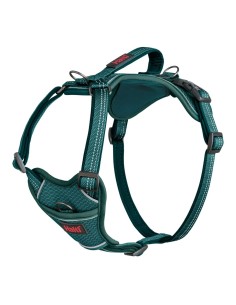 Harnais pour Chien Company of Animals Turquoise M 35-55 cm
