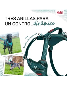 Harnais pour Chien Company of Animals Turquoise M 35-55 cm 2