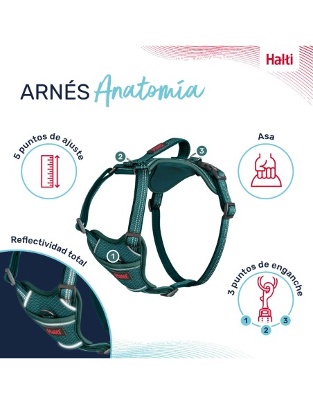 Harnais pour Chien Company of Animals Turquoise M 35-55 cm