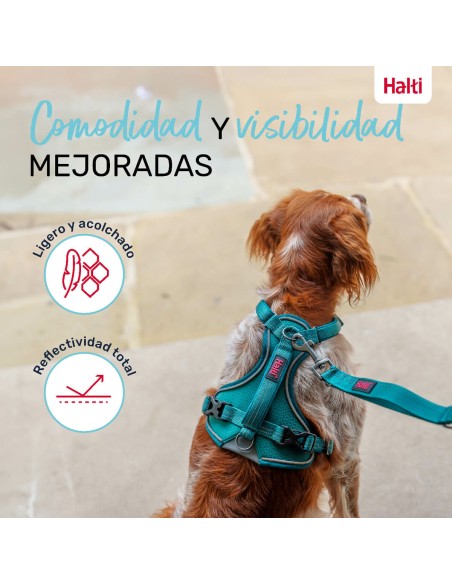 Harnais pour Chien Company of Animals Turquoise M 35-55 cm