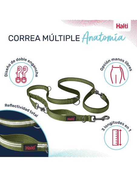 Laisse pour Chien Company of Animals Vert S