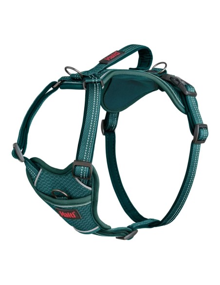 Harnais pour Chien Company of Animals Turquoise L 42-65 cm