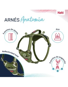 Harnais pour Chien Company of Animals Vert XS 20-32 cm 2