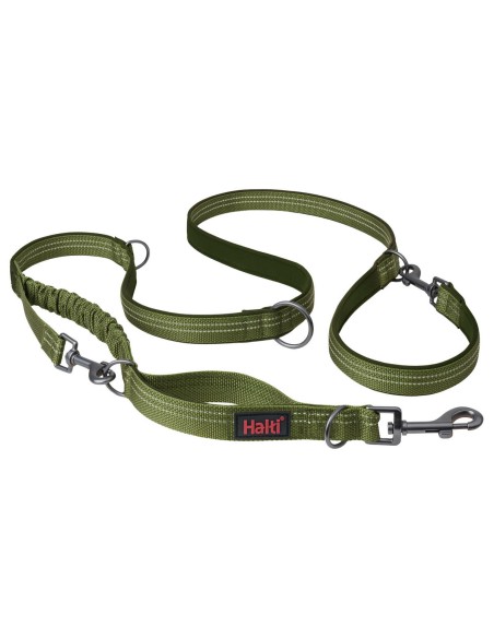 Laisse pour Chien Company of Animals Vert L