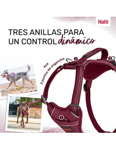 Harnais pour Chien Company of Animals Bordeaux S 28-42 cm 2