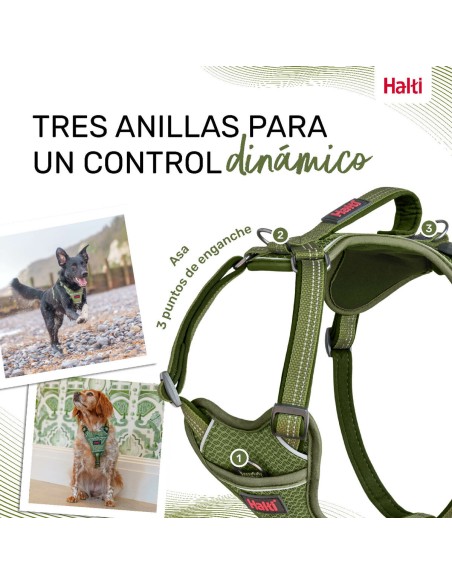 Harnais pour Chien Company of Animals Vert S 28-42 cm