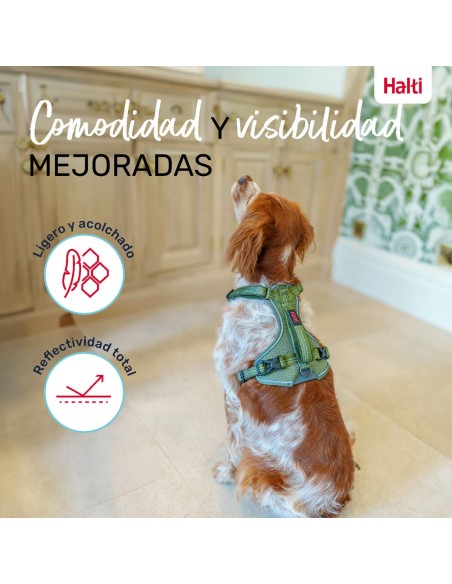 Harnais pour Chien Company of Animals Vert S 28-42 cm