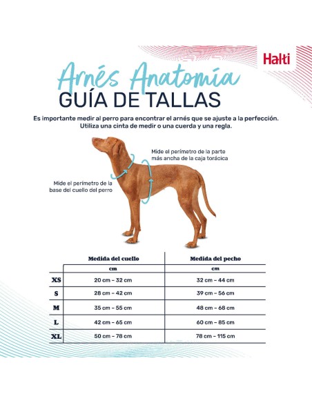 Harnais pour Chien Company of Animals Vert S 28-42 cm
