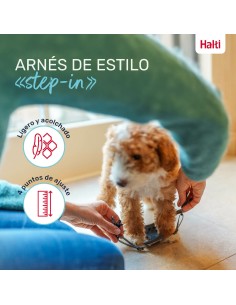 Harnais pour Chien Company of Animals Gris XXS 22-30 cm 2