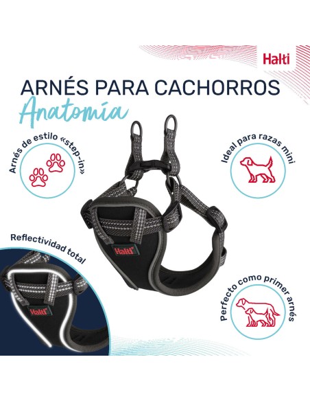 Harnais pour Chien Company of Animals Gris XXS 22-30 cm