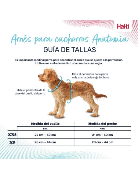 Harnais pour Chien Company of Animals Gris XXS 22-30 cm