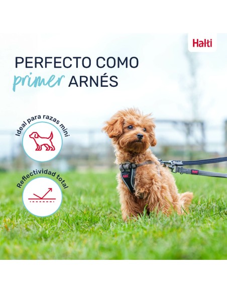 Harnais pour Chien Company of Animals Gris XXS 22-30 cm