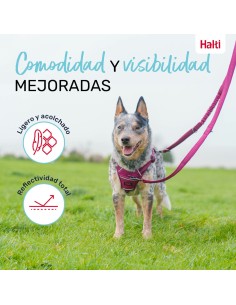 Laisse pour Chien Company of Animals Gris S 2
