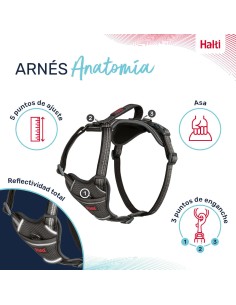 Harnais pour Chien Company of Animals Gris S 28-42 cm 2