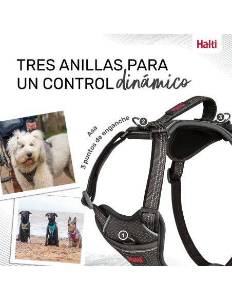 Harnais pour Chien Company of Animals Gris S 28-42 cm