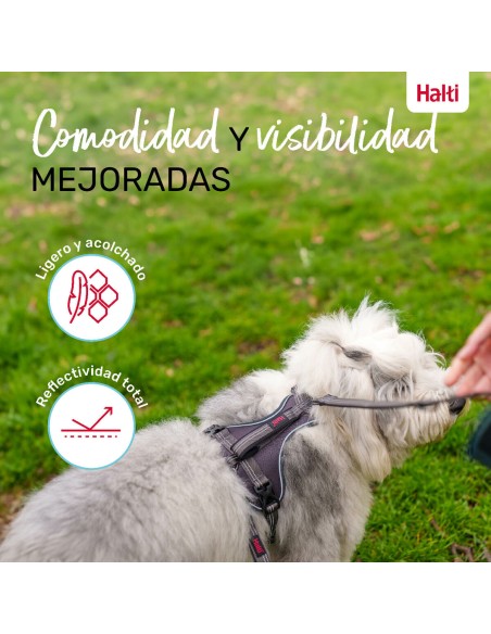 Harnais pour Chien Company of Animals Gris S 28-42 cm