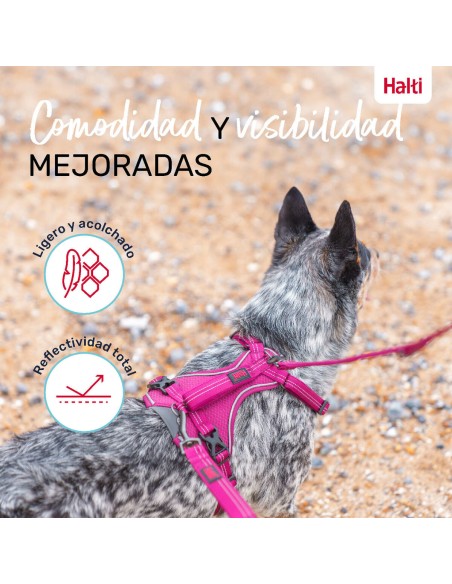 Harnais pour Chien Company of Animals Bordeaux L 42-65 cm