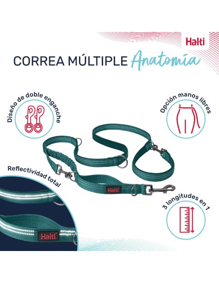 Laisse pour Chien Company of Animals Turquoise S