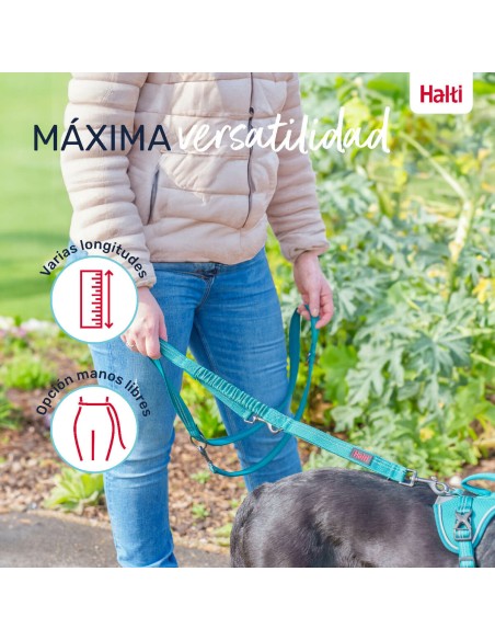 Laisse pour Chien Company of Animals Turquoise S