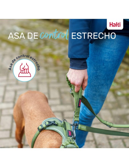 Laisse pour Chien Company of Animals Turquoise S