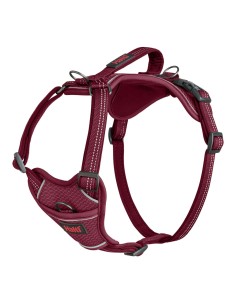 Harnais pour Chien Company of Animals Bordeaux XS 20-32 cm