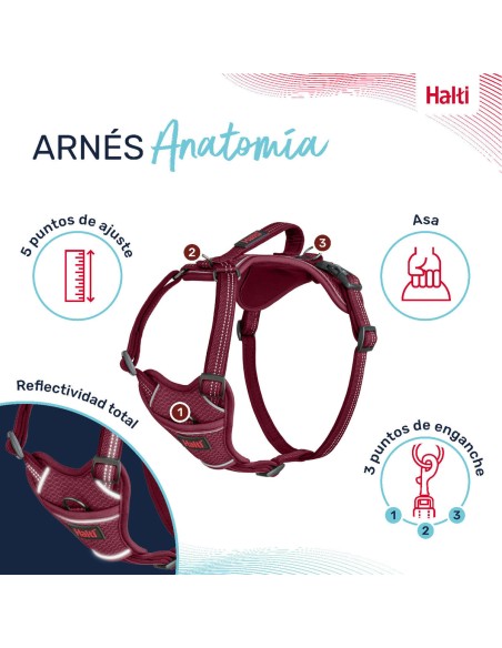 Harnais pour Chien Company of Animals Bordeaux XS 20-32 cm