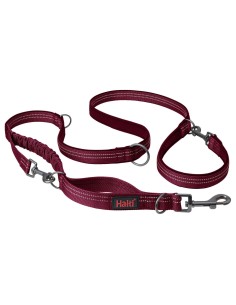 Laisse pour Chien Company of Animals Bordeaux L