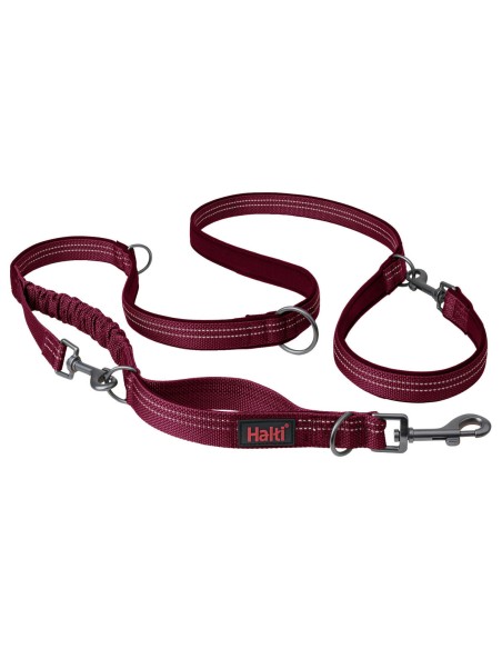 Laisse pour Chien Company of Animals Bordeaux L