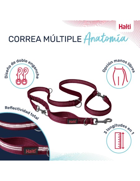Laisse pour Chien Company of Animals Bordeaux L