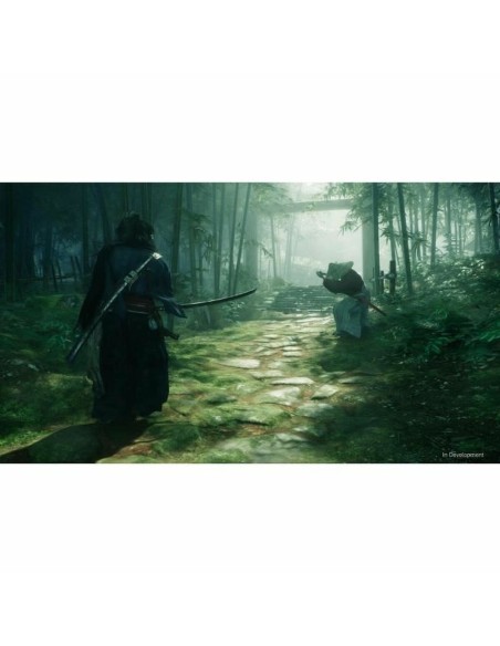 Jeu vidéo PlayStation 5 Sony Rise of the Ronin (FR)