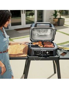 Barbecue Portable NINJA OG901EU 2