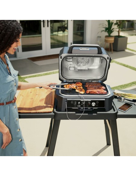 Barbecue Portable NINJA OG901EU