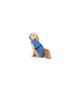 Imperméable pour Chien Dog Gone Smart Bleu 60 cm 2