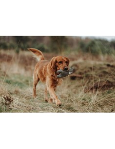 Jouet pour chien en peluche Hunter Gris 100 % Recyclado Ours 2