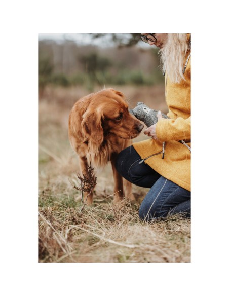 Jouet pour chien en peluche Hunter Gris 100 % Recyclado Ours