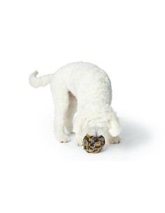 Jouet pour chien Hunter 2