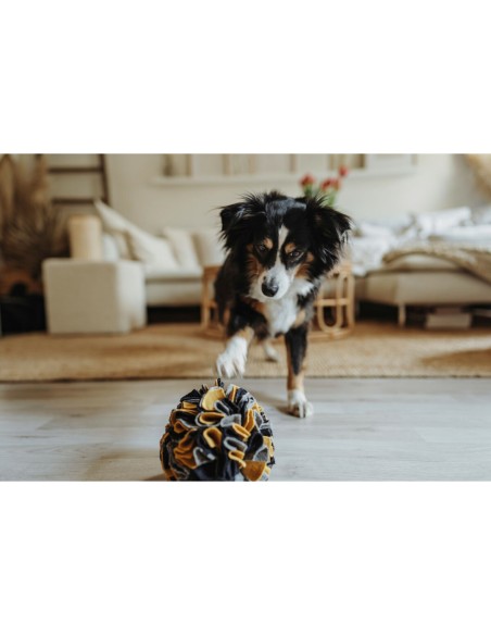 Jouet pour chien Hunter