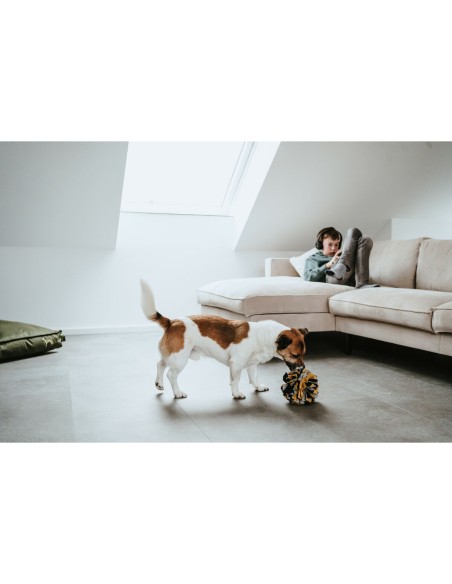 Jouet pour chien Hunter