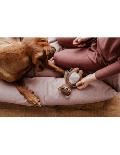 Jouet pour chien en peluche Hunter Marron 100 % Recyclado Ours 2