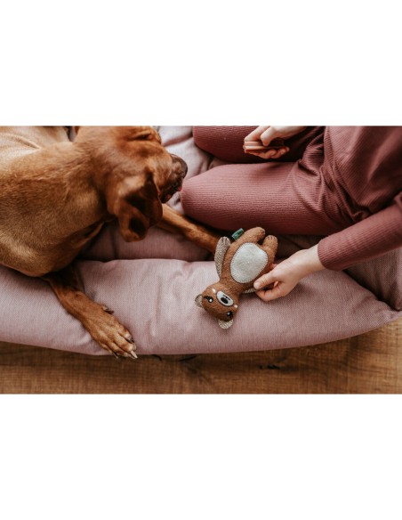 Jouet pour chien en peluche Hunter Marron 100 % Recyclado Ours