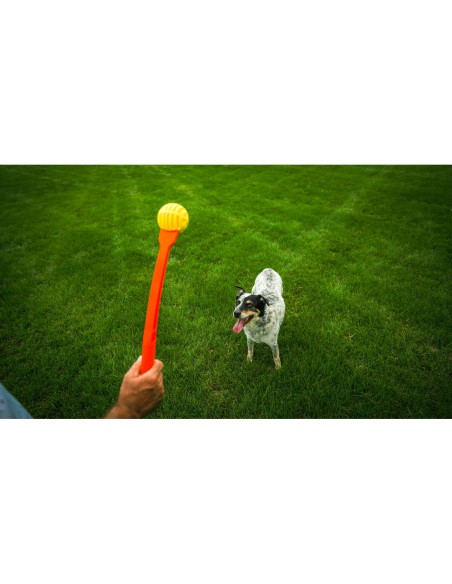 Lanceur de Balles pour Chiens Hunter