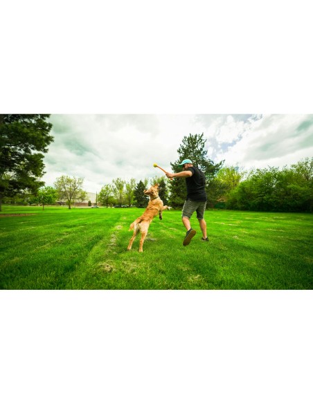 Lanceur de Balles pour Chiens Hunter