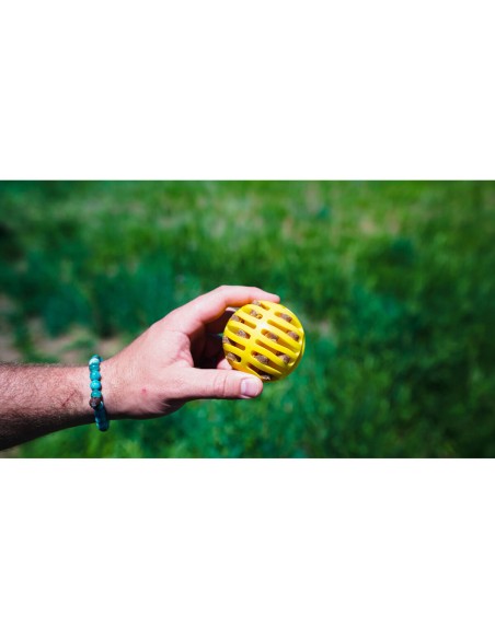 Lanceur de Balles pour Chiens Hunter