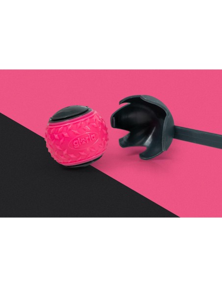 Lanceur de Balles pour Chiens Gloria
