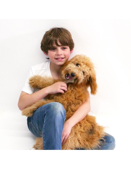 Jouet pour chien Nylabone Marron Poulet Artificielle M
