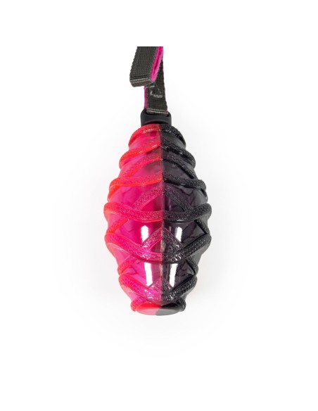 Lanceur de Balles pour Chiens Gloria